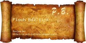 Pisch Bálint névjegykártya